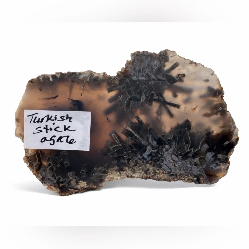 Turkish Stick Agate Slab End Cut Non polished (Turkey) - Brown and Black